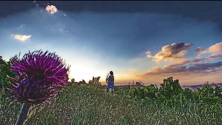 MO Blog Pazar Photo Cakralar - Meditasyon Okulu