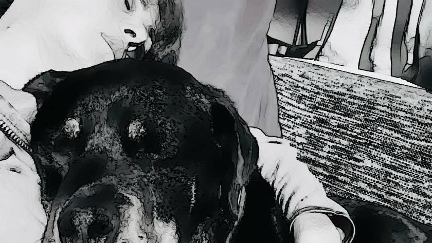 Ne Yaşanırsa Yaşansın: Endişelere Bile Sarılmak Mümkün Mü? - Meditasyon Okulu Ne Yasanirsa Yasansin Endiselere Bile Sarilmak Mumkun mu - Meditasyon Okulu