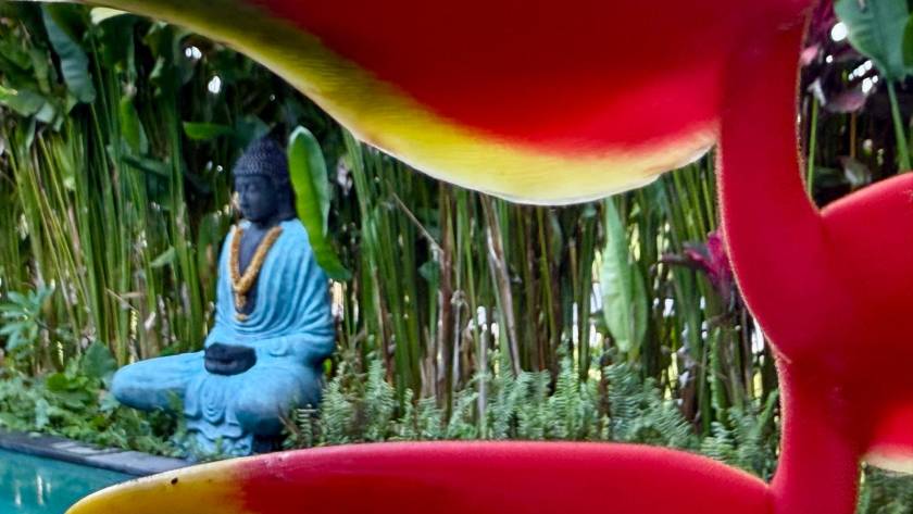 Kritik Ayrışma Başladı: Yeni İnsan Doğuyor - Meditasyon Okulu Kritik Ayrisma Basladi Yeni Insan Doguyor - Meditasyon Okulu