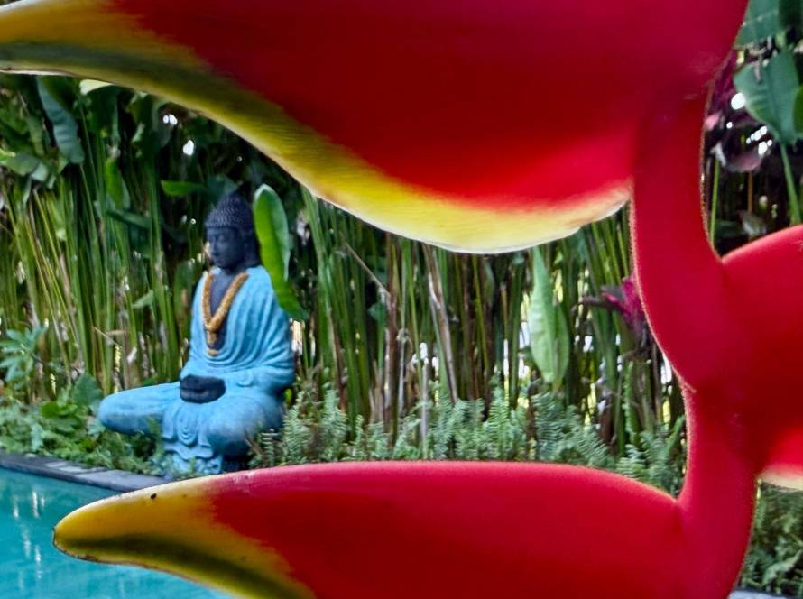 Kritik Ayrisma Basladi Yeni Insan Doguyor - Meditasyon Okulu