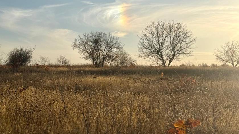Dolunay Rehberi Maskeler Duserken Degerler Yeniden Doguyor 5–10 Kasim - Meditasyon Okulu