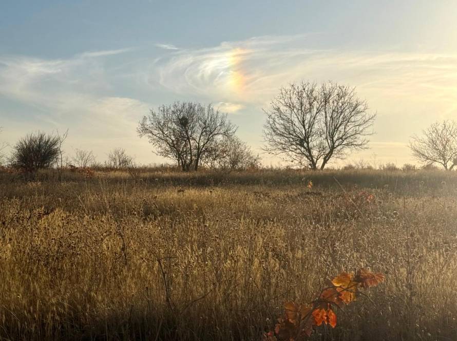 Dolunay Rehberi Maskeler Duserken Degerler Yeniden Doguyor 5–10 Kasim - Meditasyon Okulu