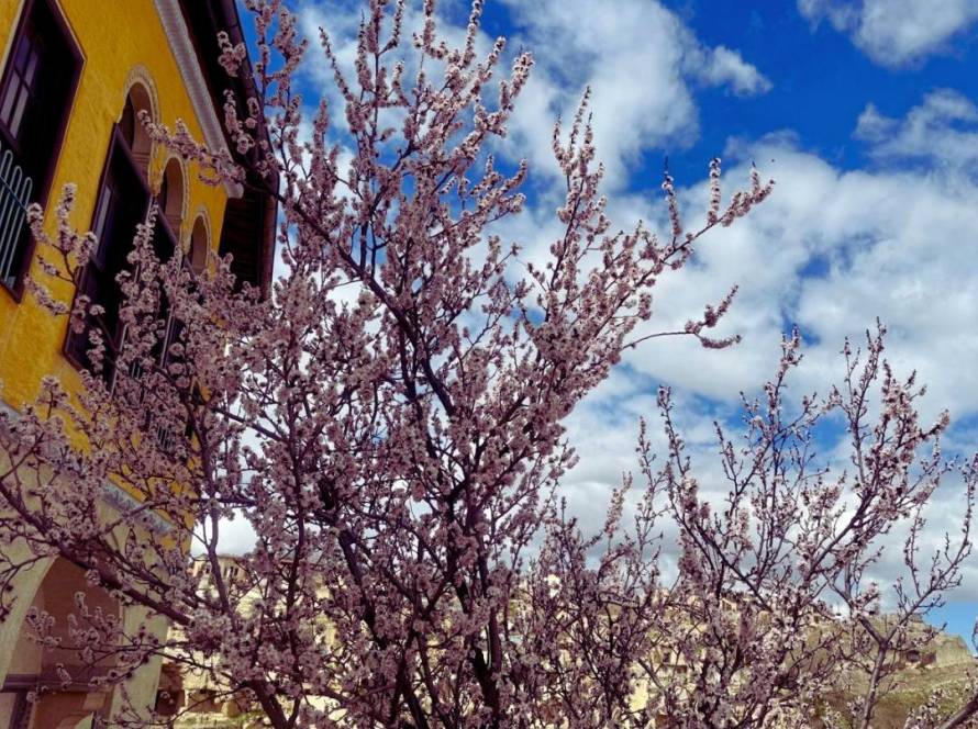 ENTEGRASYON NEDIR - Meditasyon Okulu